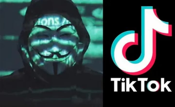 Tiktok Anonymous Story Viewer